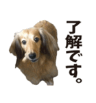 すえぞうの日常（個別スタンプ：6）