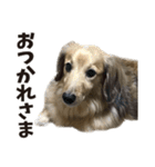 すえぞうの日常（個別スタンプ：7）
