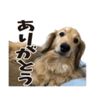 すえぞうの日常（個別スタンプ：8）
