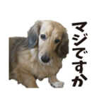 すえぞうの日常（個別スタンプ：9）