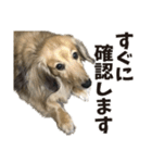 すえぞうの日常（個別スタンプ：10）