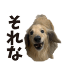 すえぞうの日常（個別スタンプ：11）