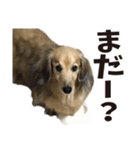 すえぞうの日常（個別スタンプ：12）