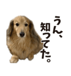 すえぞうの日常（個別スタンプ：13）