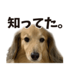 すえぞうの日常（個別スタンプ：14）