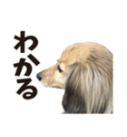 すえぞうの日常（個別スタンプ：15）