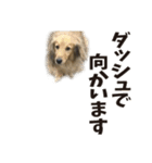 すえぞうの日常（個別スタンプ：17）