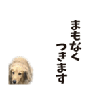 すえぞうの日常（個別スタンプ：19）