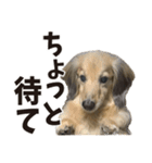 すえぞうの日常（個別スタンプ：23）