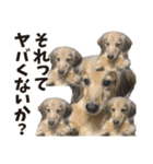 すえぞうの日常（個別スタンプ：24）