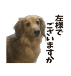 すえぞうの日常（個別スタンプ：25）