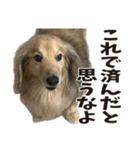 すえぞうの日常（個別スタンプ：26）