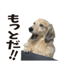 すえぞうの日常（個別スタンプ：27）