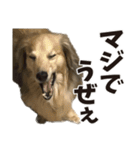 すえぞうの日常（個別スタンプ：28）