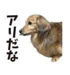 すえぞうの日常（個別スタンプ：30）