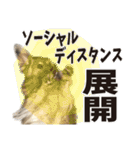 すえぞうの日常（個別スタンプ：31）