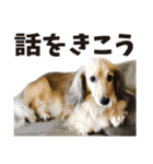 すえぞうの日常（個別スタンプ：32）