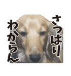 すえぞうの日常（個別スタンプ：34）