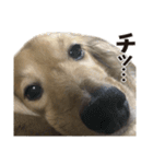 すえぞうの日常（個別スタンプ：40）