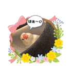 キンカチョウのPちゃんと仲間たち（個別スタンプ：1）