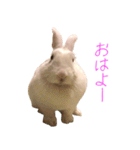 さとうさ（個別スタンプ：1）
