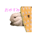 さとうさ（個別スタンプ：2）