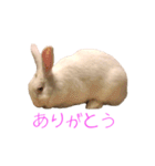 さとうさ（個別スタンプ：3）