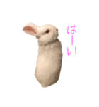 さとうさ（個別スタンプ：4）