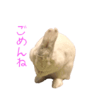 さとうさ（個別スタンプ：5）