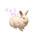 さとうさ（個別スタンプ：6）
