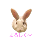 さとうさ（個別スタンプ：7）