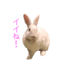 さとうさ（個別スタンプ：8）