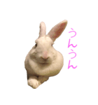 さとうさ（個別スタンプ：9）