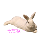 さとうさ（個別スタンプ：10）