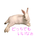 さとうさ（個別スタンプ：15）