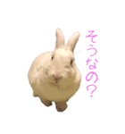 さとうさ（個別スタンプ：16）
