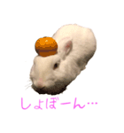 さとうさ（個別スタンプ：18）