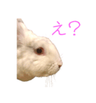 さとうさ（個別スタンプ：20）