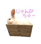 さとうさ（個別スタンプ：21）