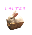 さとうさ（個別スタンプ：23）