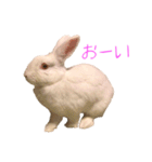 さとうさ（個別スタンプ：25）