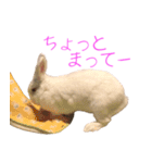 さとうさ（個別スタンプ：27）
