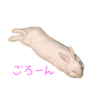 さとうさ（個別スタンプ：29）