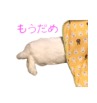 さとうさ（個別スタンプ：30）