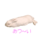 さとうさ（個別スタンプ：32）