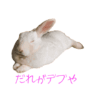 さとうさ（個別スタンプ：34）