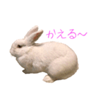 さとうさ（個別スタンプ：35）