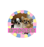 くるみいる（個別スタンプ：1）