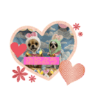 くるみいる（個別スタンプ：3）
