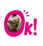 くるみいる（個別スタンプ：5）